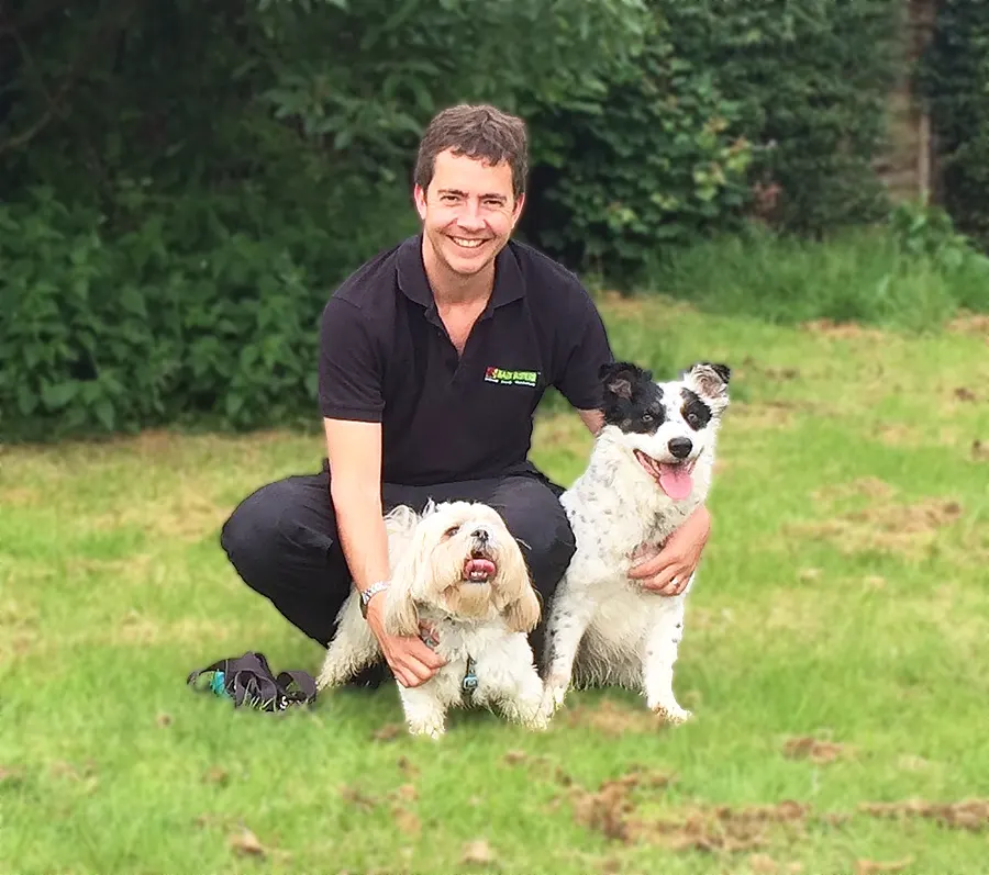 Home Dog Training Macclesfield & Manchester South