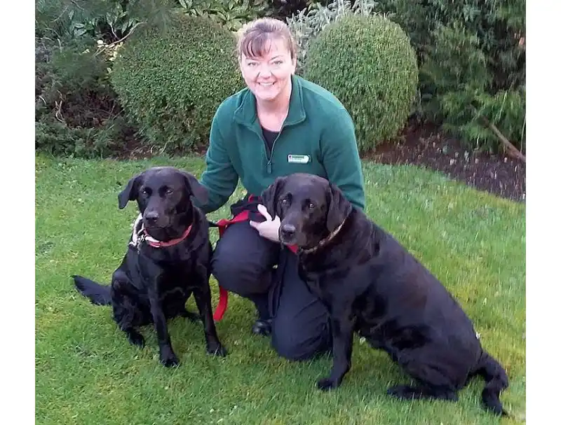 Dog training Cardiff and home puppy training classes