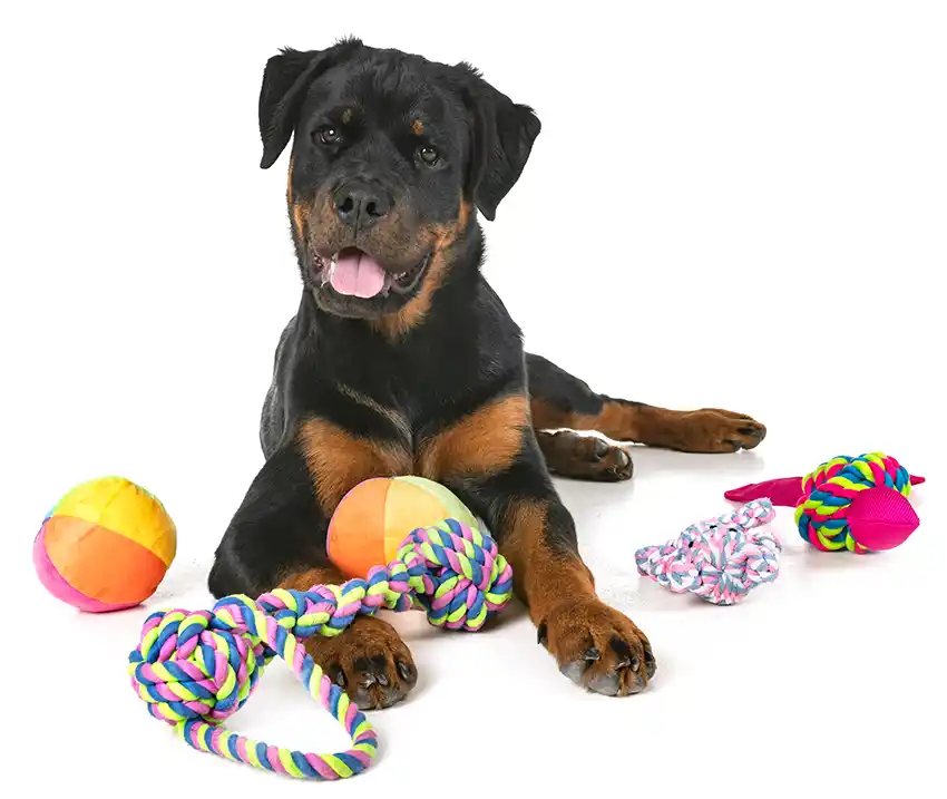 Rottweiler Toys