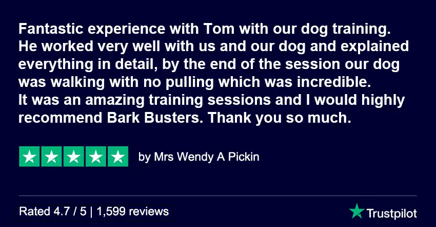 Trustpilot Review Tom Ryan